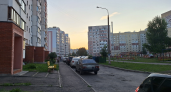 Не паркуйтесь под этими деревьями: ремонт кузова обойдется в целое состояние — соседи молчат об этом