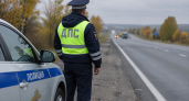 В Екатеринбурге дама в леопардовой шубе сбежала из автобуса через форточку водителя