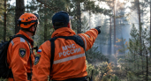 Больше половины лесных пожаров в Свердловской области произошли из-за людей